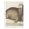 Vintage Walrus Illustration Throw Blanket Warm for Winter Shaggy Decorative Beds Thermal Blankets