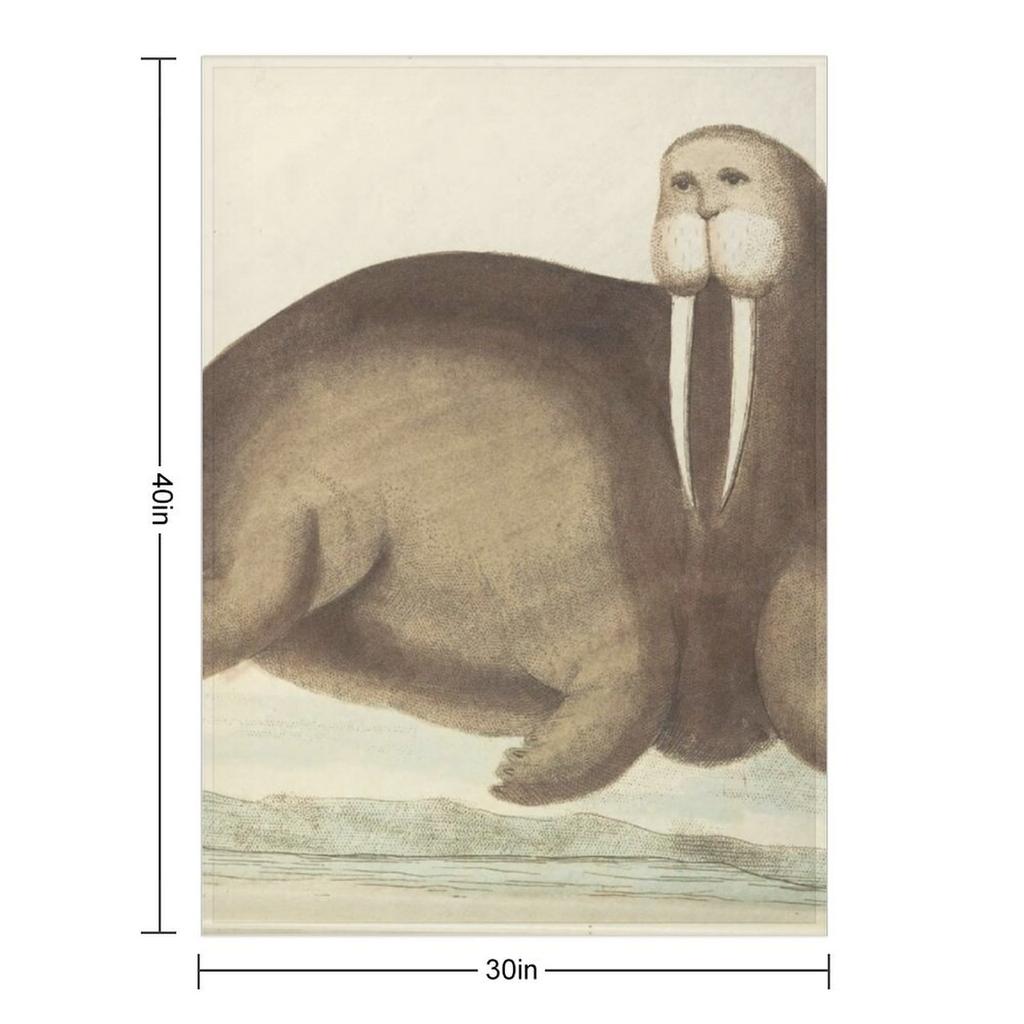 Vintage Walrus Illustration Throw Blanket Warm for Winter Shaggy Decorative Beds Thermal Blankets