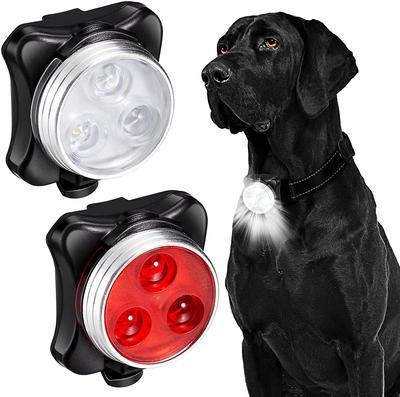 Ropa y calzado – Accesorios para perros