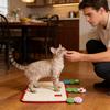 Cute Caterpillar Cats Scratching Mat - Furniture Protector & Sisal Pad & Chair Legs