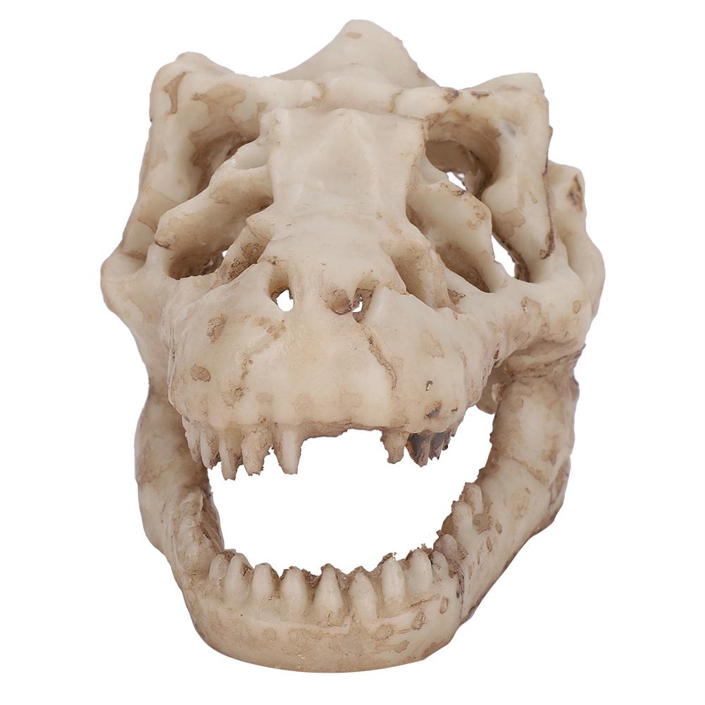 Dinosaur Skull, Fish Box Small Skull Aquarium Decorations Dinosaur Skeletons Aquarium Ornaments Skeleton Hole Artificial Dinosaur Skull Skeleton Orna
