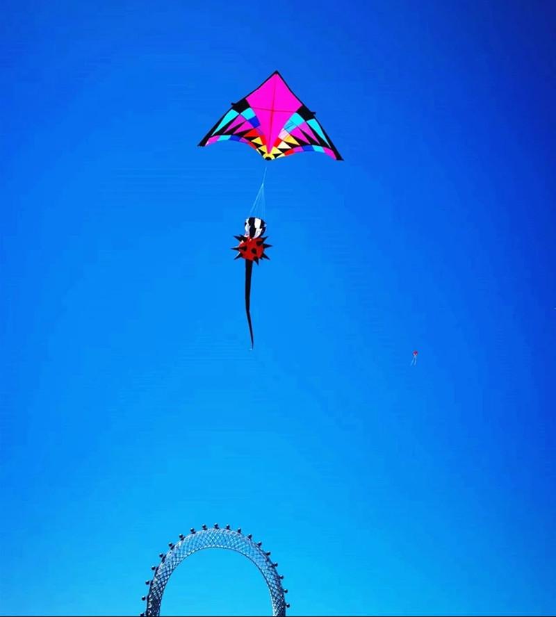 Weifang Rainbow Streamer 3D Kite with Spiky Tail – Easy To Fly