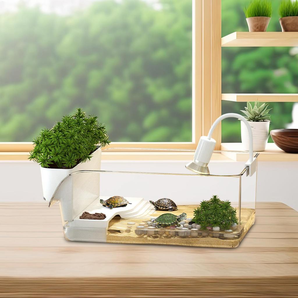 Aquatic Turtle Tank Resting Box for Turtle Transparent Small Tortoise Breeding Box for Reptile Crab School Science Class Nature