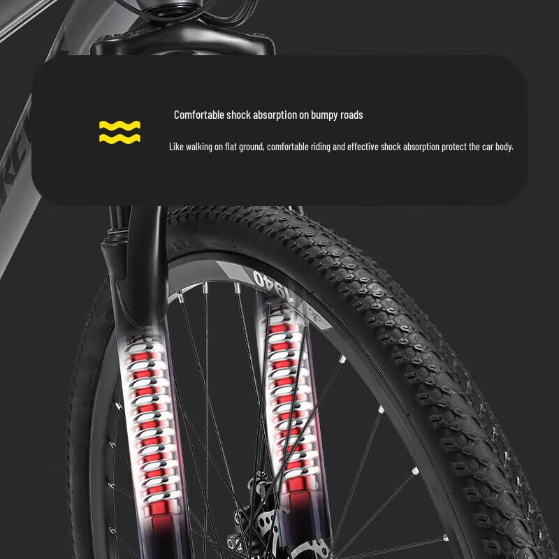 Permanent D005-1 21-Speed 24-inch Steel Mountain Bike