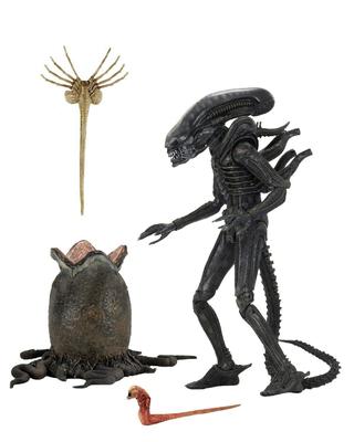 Samling og modeller – Samlefigurer
