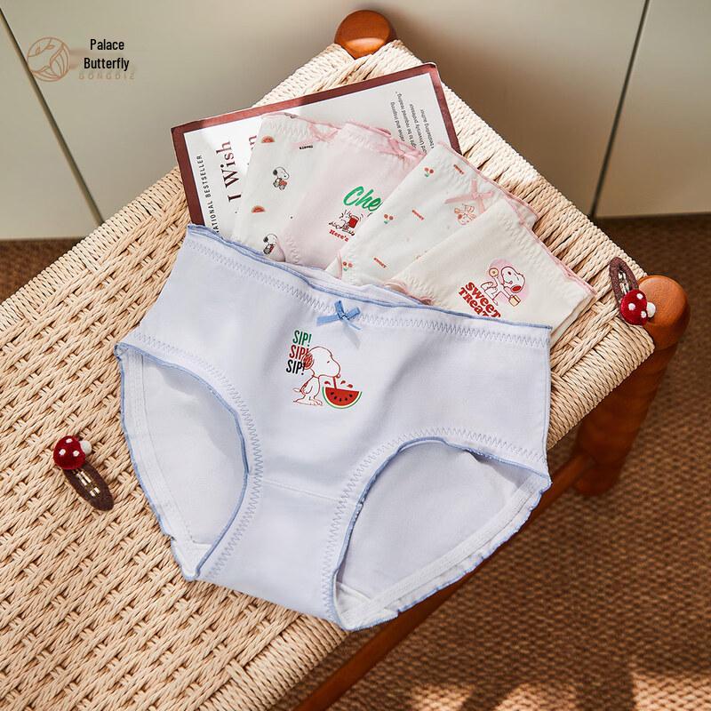 

Snoopy Collaboration Women s 5-Pack Briefs L (100-120 lbs)