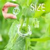 100/300-Piece Plant Support Clip Set – 3x0.9cm Garden Trellis Clips For Tomatoes, Cucumbers, Roses, Vines – Hollow Design, Reusable