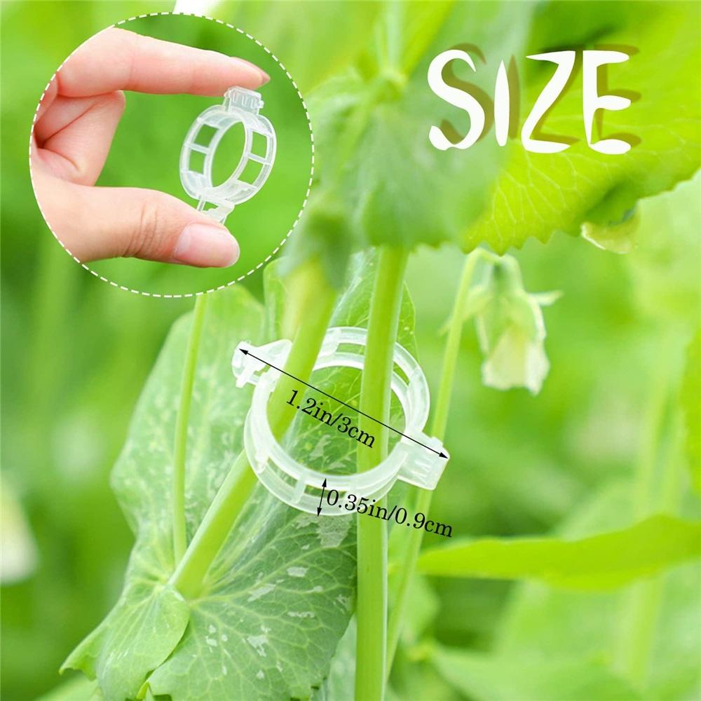100/300-Piece Plant Support Clip Set – 3x0.9cm Garden Trellis Clips For Tomatoes, Cucumbers, Roses, Vines – Hollow Design, Reusable