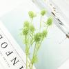 Preserved Eryngium Blue Planet Glass Dome DIY Wedding Flowers