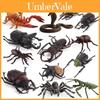 Allomyrina Dichotoma Model Pvc Realistic Display Scene For Science Education And Collectors