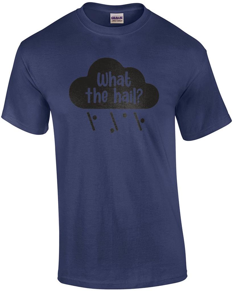 What The Hail? Funny Pun T-Shirt