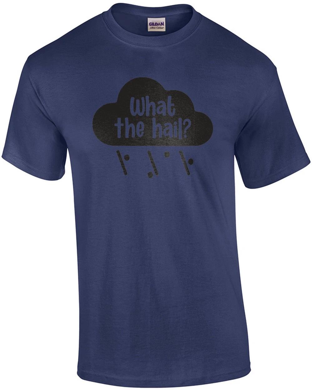 What The Hail? Funny Pun T-Shirt L
