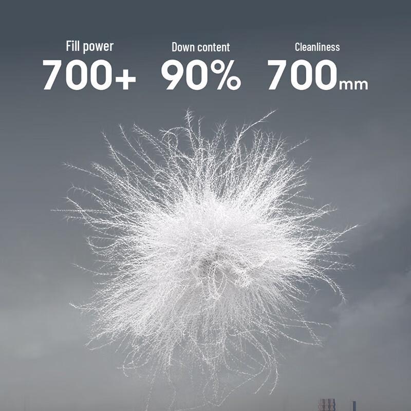 Bosideng B250134162 Mid-Length Detachable Collar Goose Down Jacket