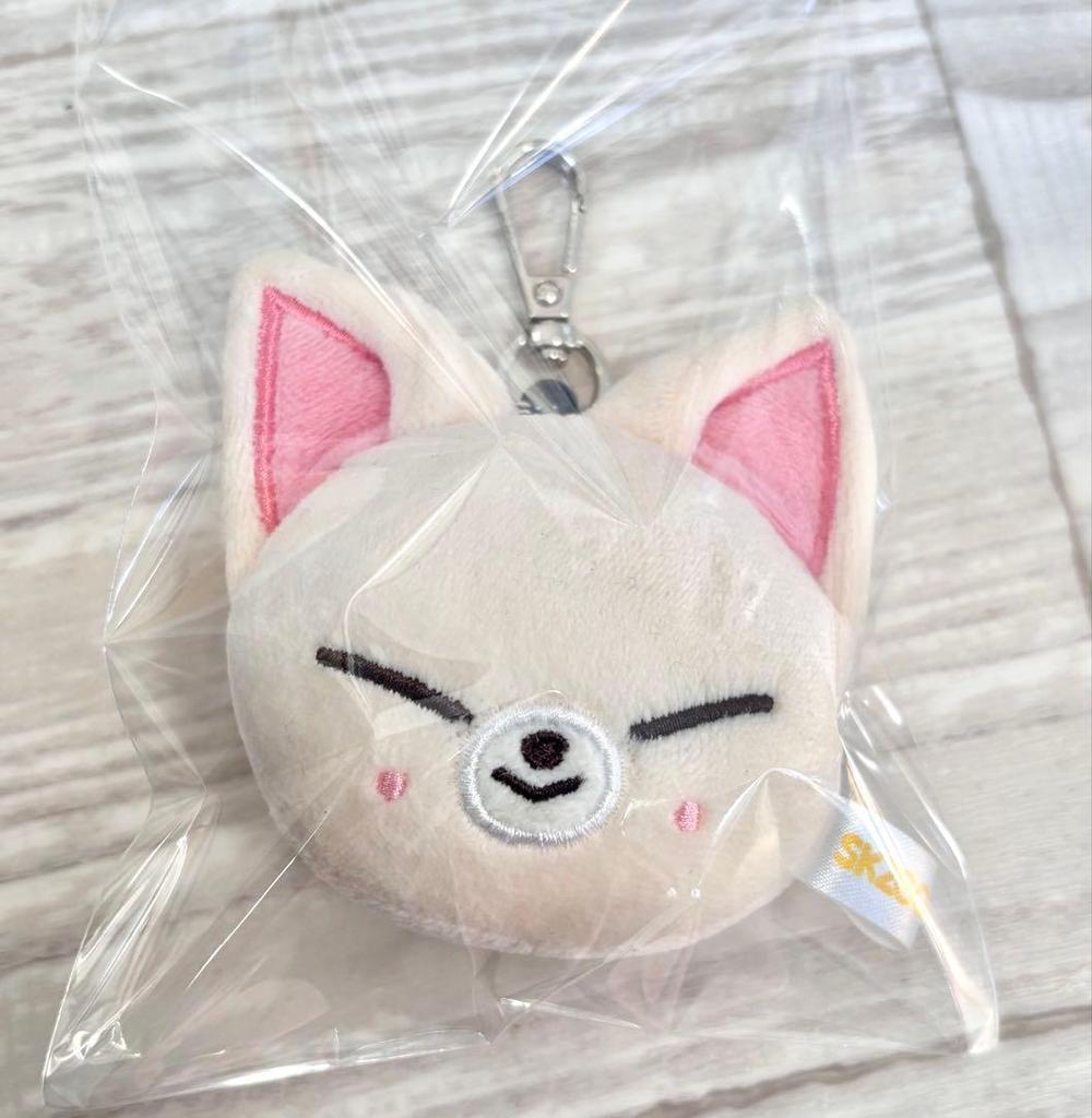 [USED] straykids SKZOO Foxxyny Face Keyring Ien
