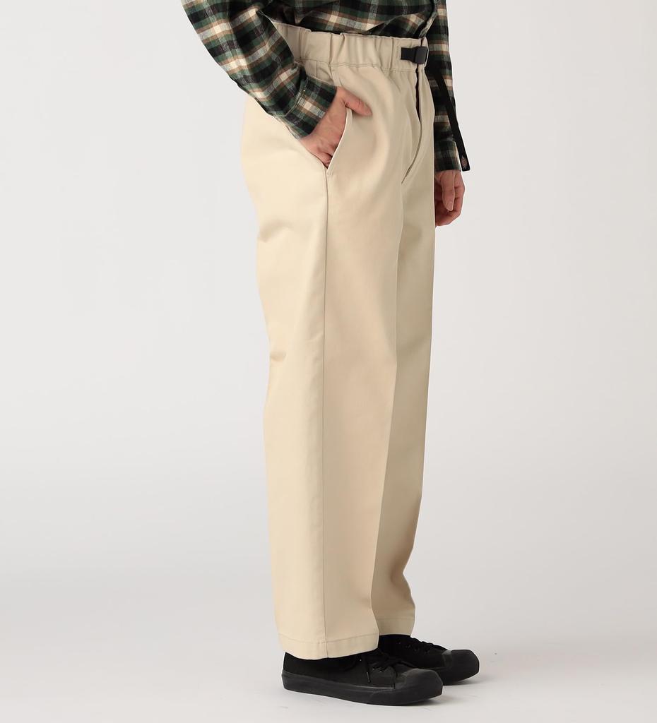Dickies Climbing Work Pants Stone S DB0010-0065