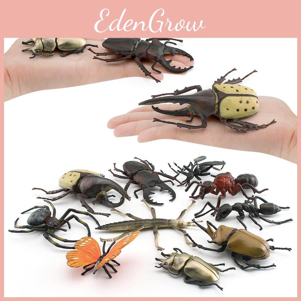 Insect Collection Model Pvc Animal Replica For Nature Study And Educational Use