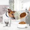 Kitchen Spoon Scale, Pet Food Measuring Spoon, Digital Scale, 800g Capacity, High-Precision Display (LCD Monitor) with 0.1g Increments, Washable,
