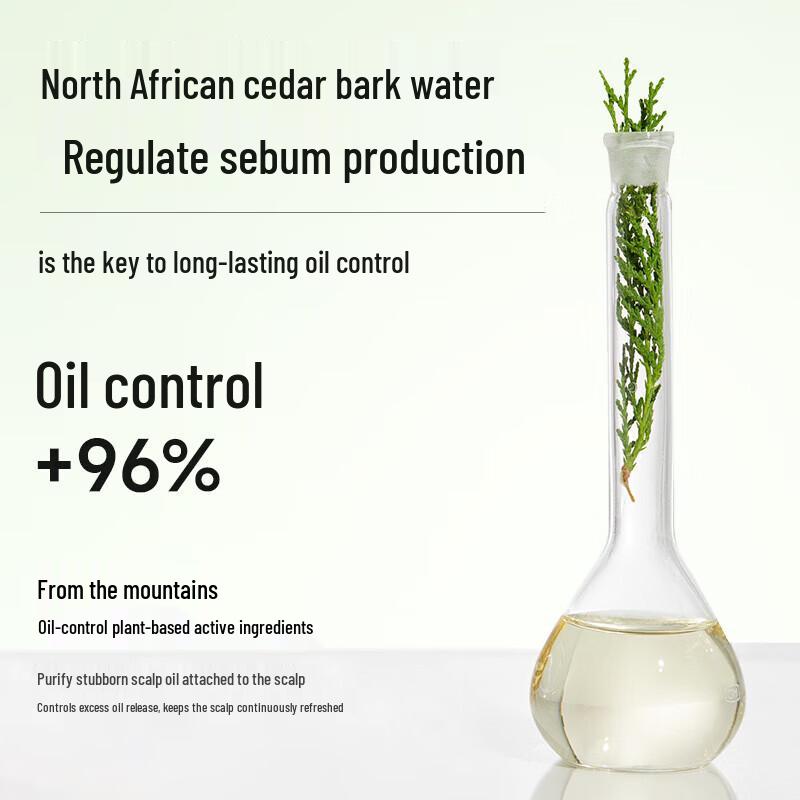 Boty Sea Salt Reinigendes Duschgel & Atlaszederöl Kontroll-Shampoo Set