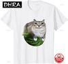 Watermelon Cat Silly Cat Meme TShirt A Hilarious Watermelon Print Cotton Shirt Is A Stylish Unisex Top for Both Unisex and Unisex