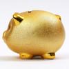 Craftmanhouse Golden Pig Piggy Medium Bank,