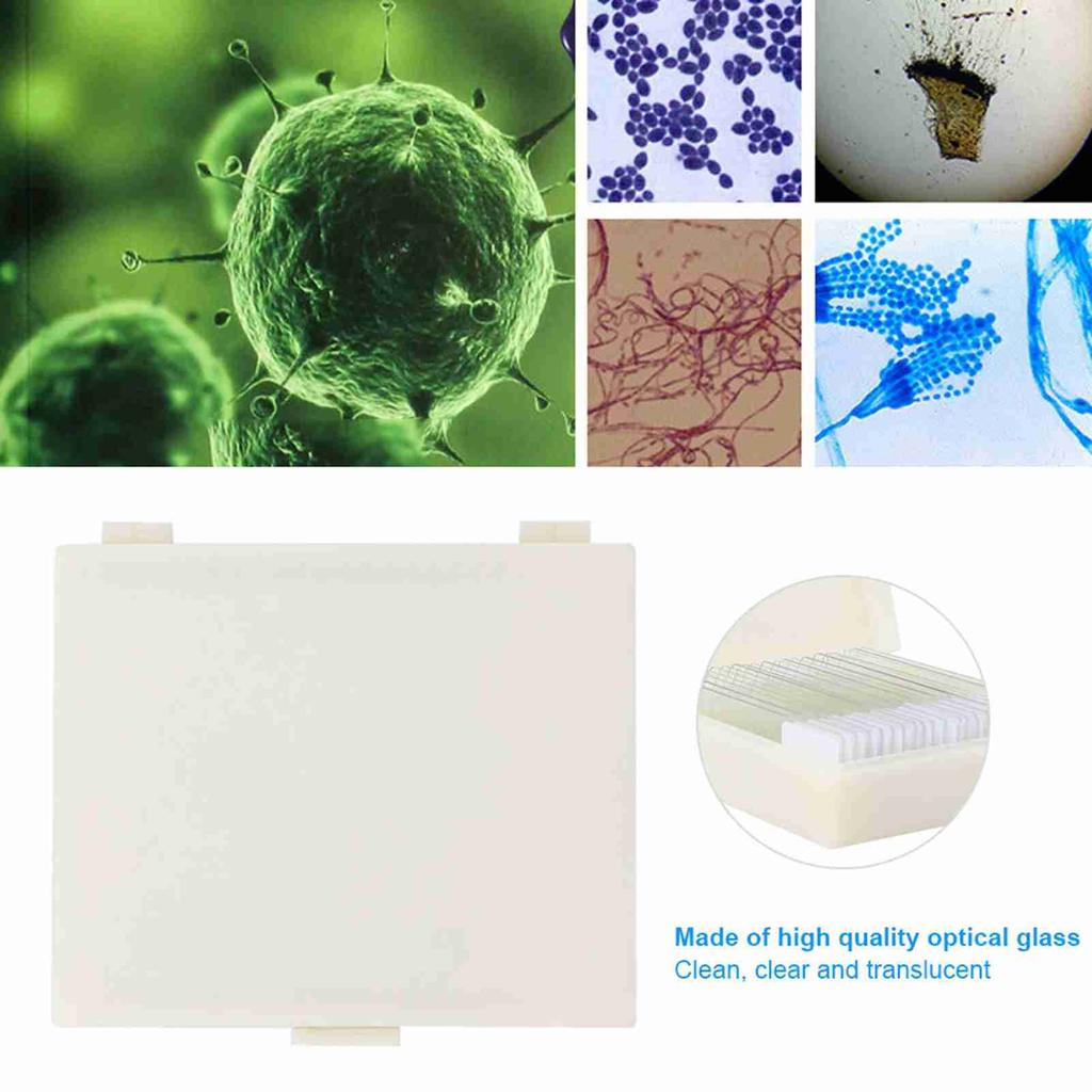 Mikrobiologické bakteriální vzorky Biologické vzorky mikroskopu Mikroskopické sklíčko Připravené podložní sklíčko Podložní sklíčko