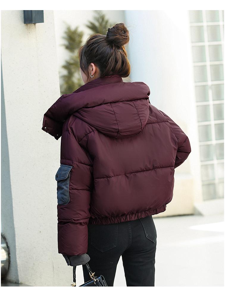 2025 Autumn/Winter Korean Style Versatile Hooded Cotton Jacket