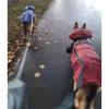 Dog Raincoat Lightweight Waterproof Large Pet Dog Rain Jackets with Hood Reflective Strip Safety for Dog