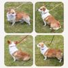 Adjustable Loop Collar Dog Leash Slip Rope  for Small Medium Large Dogs