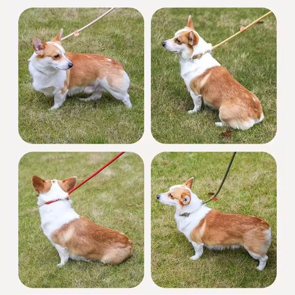 Adjustable Loop Collar Dog Leash Slip Rope  for Small Medium Large Dogs