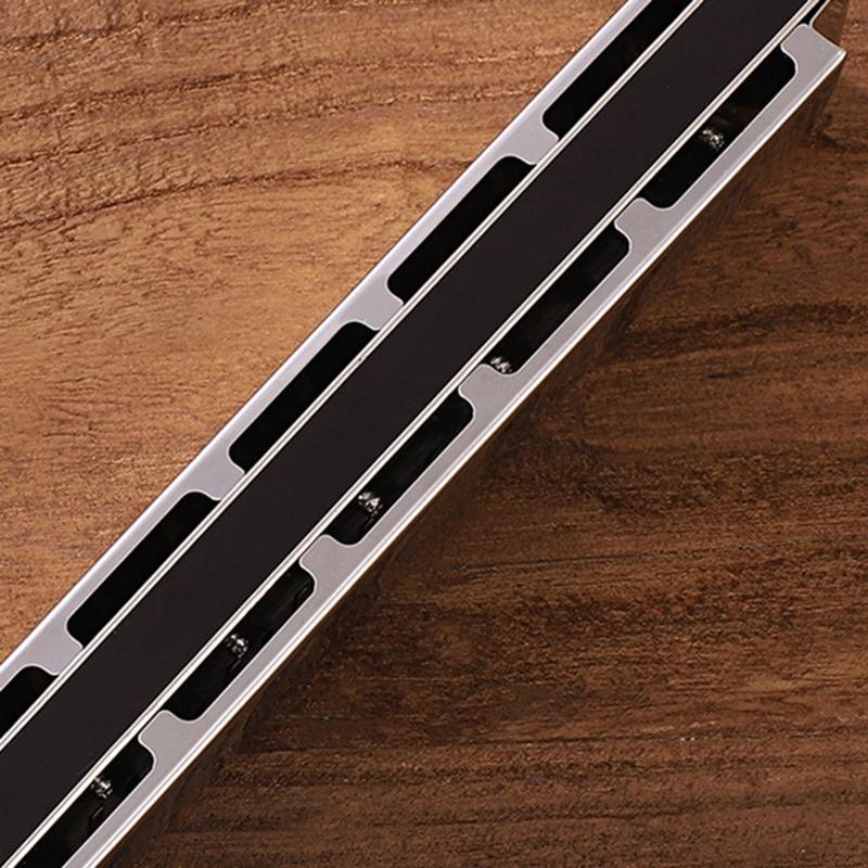 24-Hole Professional Harmonica for Beginner, Diatonic Double Tremolo Harmonica Fit for Adults Music Student Teacher Gift