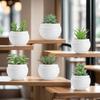 Artificial Succulent Plants Decorative Plants Faux Succulent Set