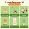 Children's Wooden Science Experiment Kit - Handmade Student Toy Set