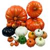 Accesorii de petrecere – Accesorii de Halloween