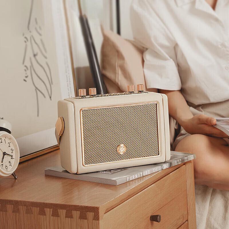 Mao King Mate3 Portable Karaoke Bluetooth Speaker