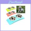 Premium Quality Double Food Water Pet Feeding Bowl For Puppies And Kittens With Non-slip Design