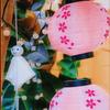 Cherry Blossom Printed Winter Melon Lantern Waterproof Festival Lantern Hanging Lantern  Tavern