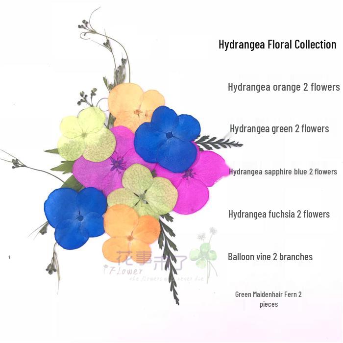 Handmade Kindergarten Collage: Real Dried Leaf and Flower Stickers for Face and Photo Decoration