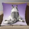 Funny Rabbit Butt Pillowcase Cute Rabbit Design Decorative Cushion Cover  Zipper Machine Washable for Home Decoration