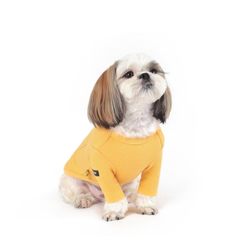 

ACE T-shirt (yellow) M