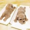 VIE LENTE 3D Shar Pei Hund Silikonformen 1 Stück DIY Fondant Schokolade Gelee Eisformen Kuchen Dekorationswerkzeuge Würfel Kuchenformen