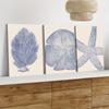 3 Pieces of Mediterranean Style Blue Coral Decoration Paintings, Modern and Simple Living Room Entrance Wall Decoration Canvas P