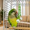 Beißfestes Papageien Hängeball Spielzeug Transparenter Ball Vogel Vogelkäfig Kletterleiter Training