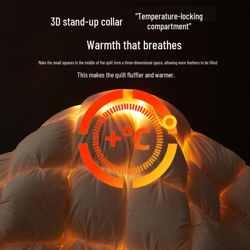 Muji Down & Feather Winter Duvet