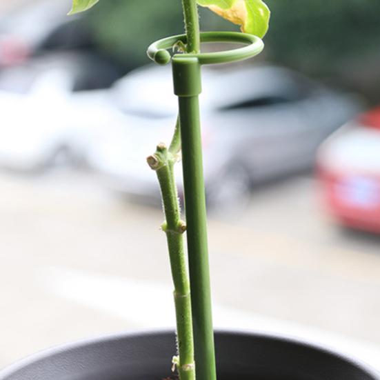 6 Pcs Plant Support Stakes Extendable Support Stakes Orchid Sticks with Ring Clips for Indoor Outdoor Plant Tomato Vegetables Monstera