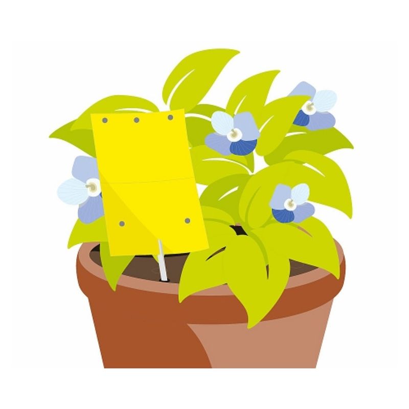 Aroxone Repelentní nálepky proti hmyzu 10 kusů