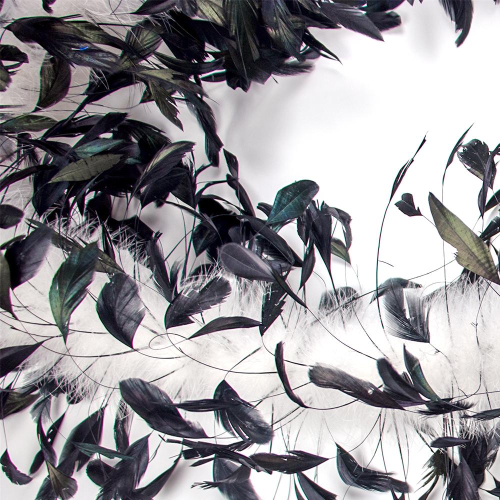 800 Stück Schwarze Hühnerfedern und 50 g Weiße Truthahnfeder-Boa 2 Meter Dekorative Feder für Hochzeit Karneval Kleidung Accessoires