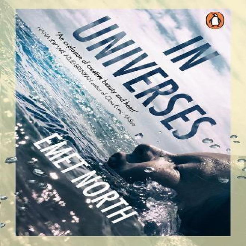 In Universes by Emet North Paperback Book 9781804954072