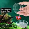 Transparent Aquarium Feeding Bowl Durable Fish Feeder Tray  for Baby Fish Shrimp