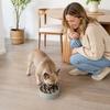Pet Slow Feeder Bowl for Dogs and Cats, Interactive Puzzle Feeding Bowl to Help Slower Eating