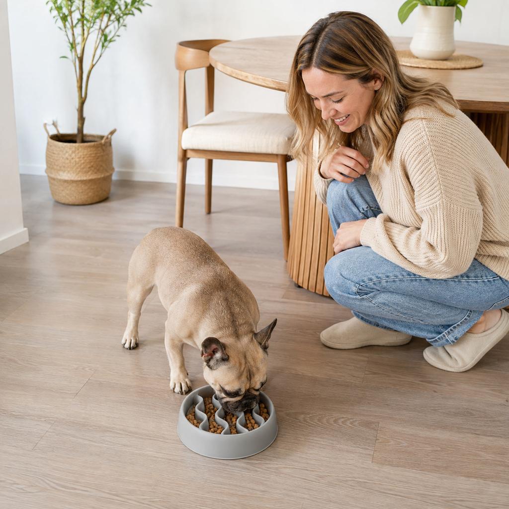 Pet Slow Feeder Bowl for Dogs and Cats, Interactive Puzzle Feeding Bowl to Help Slower Eating